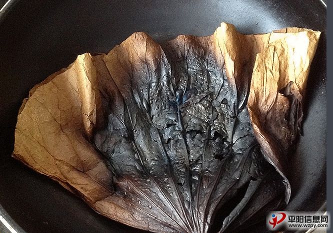 网传荷叶灰减肥也能信?明火烧制可能致癌! -