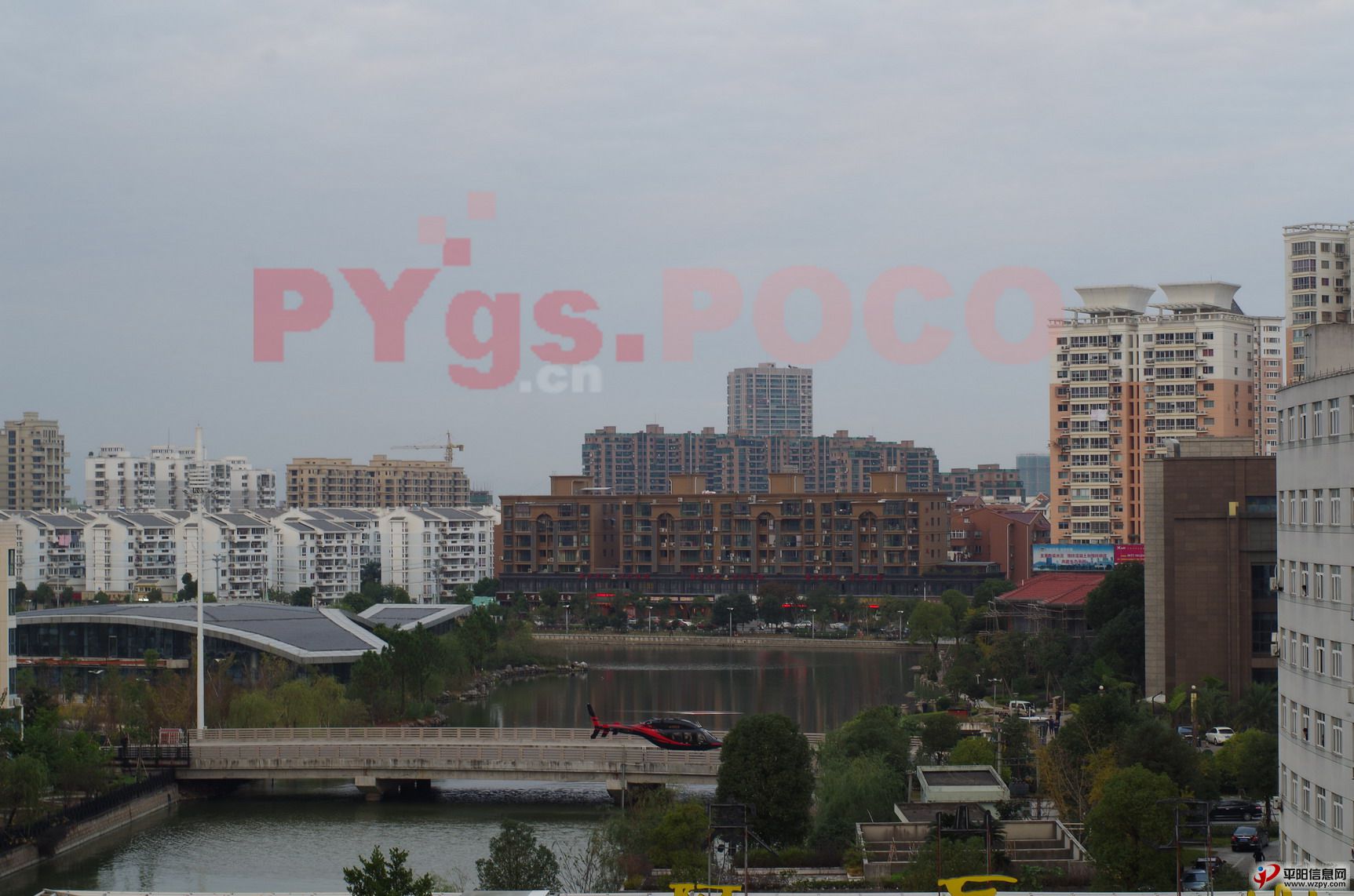 IMGP6765_СС.JPG