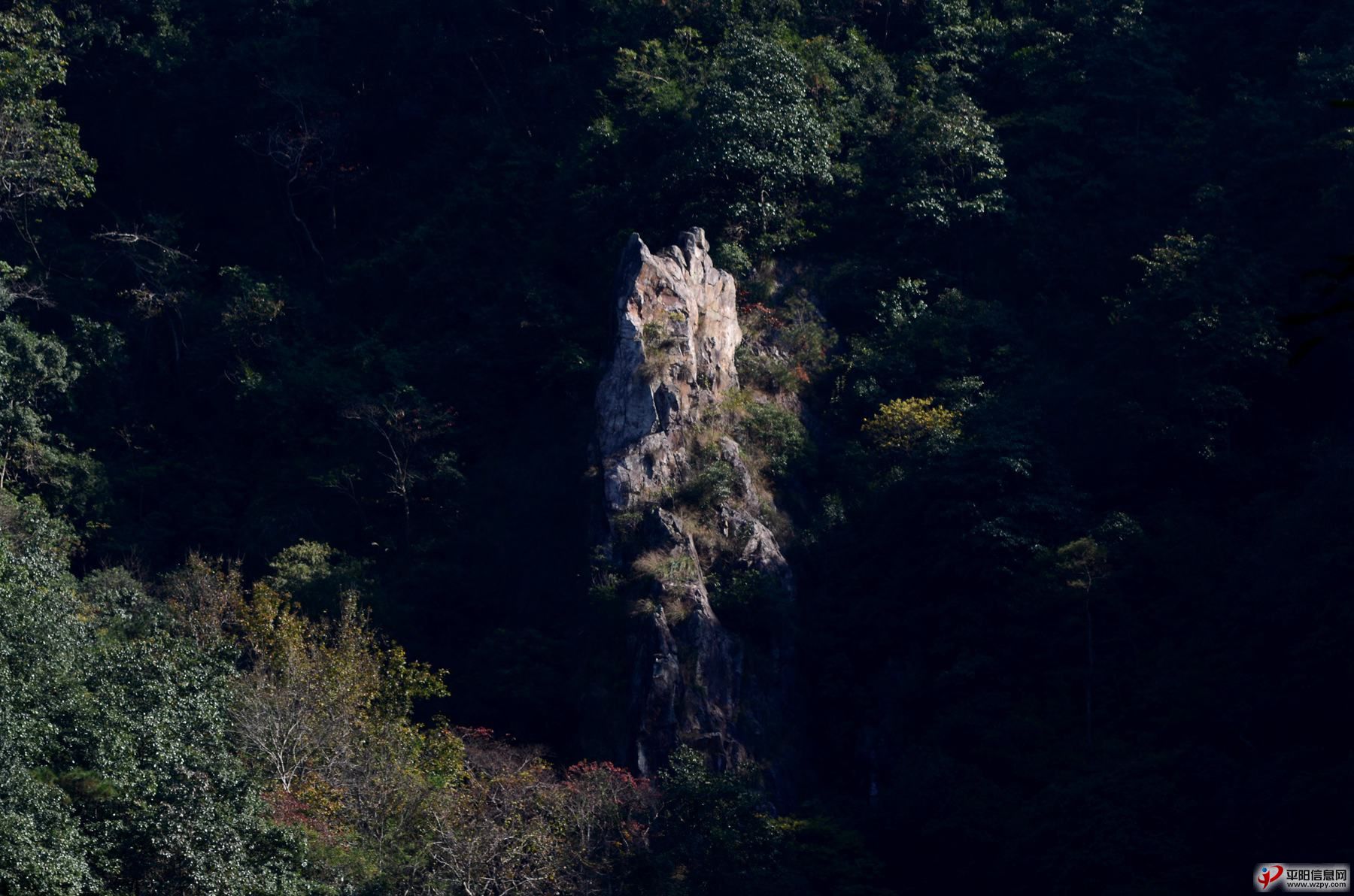 DSC_5396_.jpg