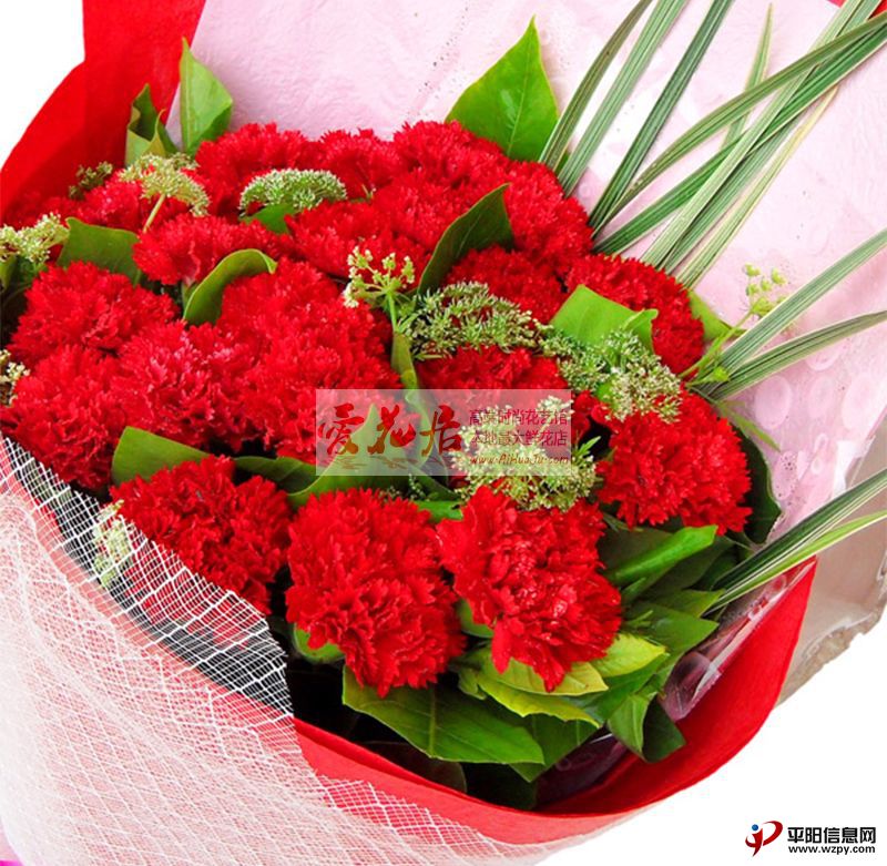 20120303110037203.jpg