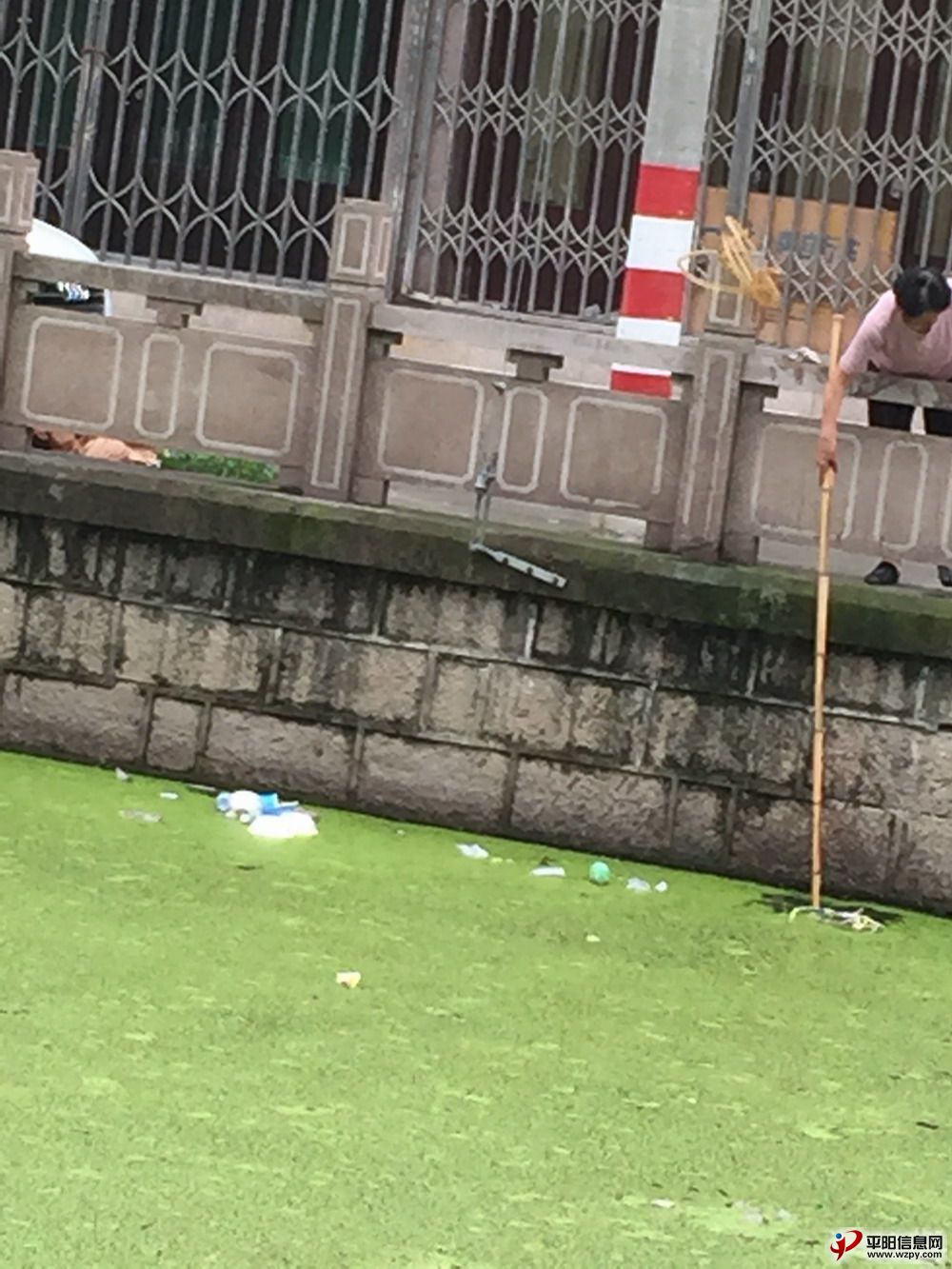 5.JPG