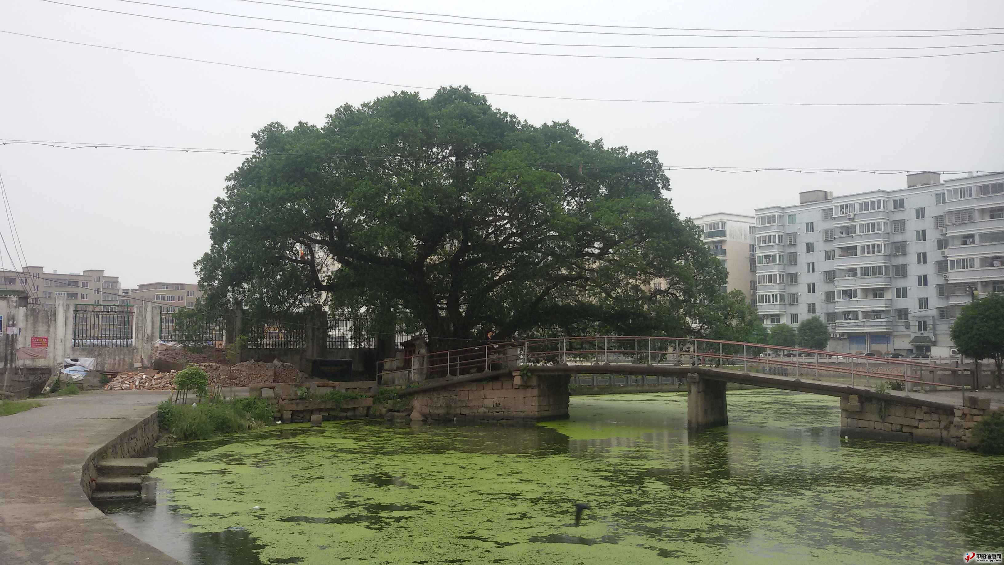 20150508_131514.jpg