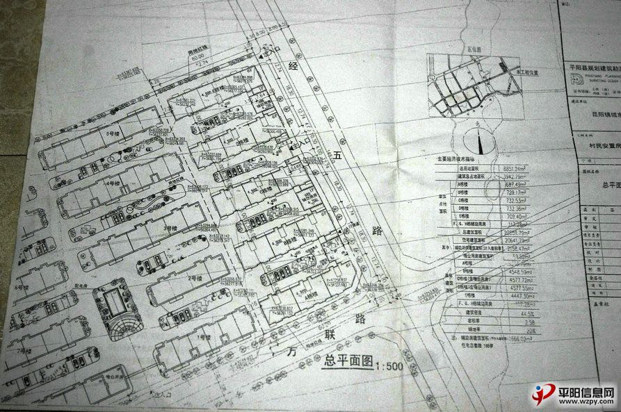 IMGP5409.JPG