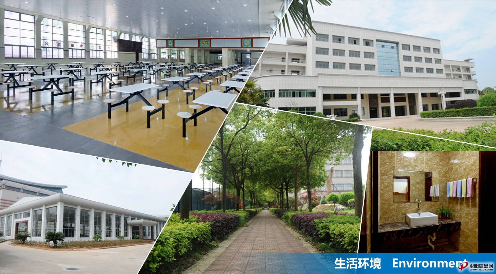 求学路=创业路浙江科贸职业技术学院电商学院