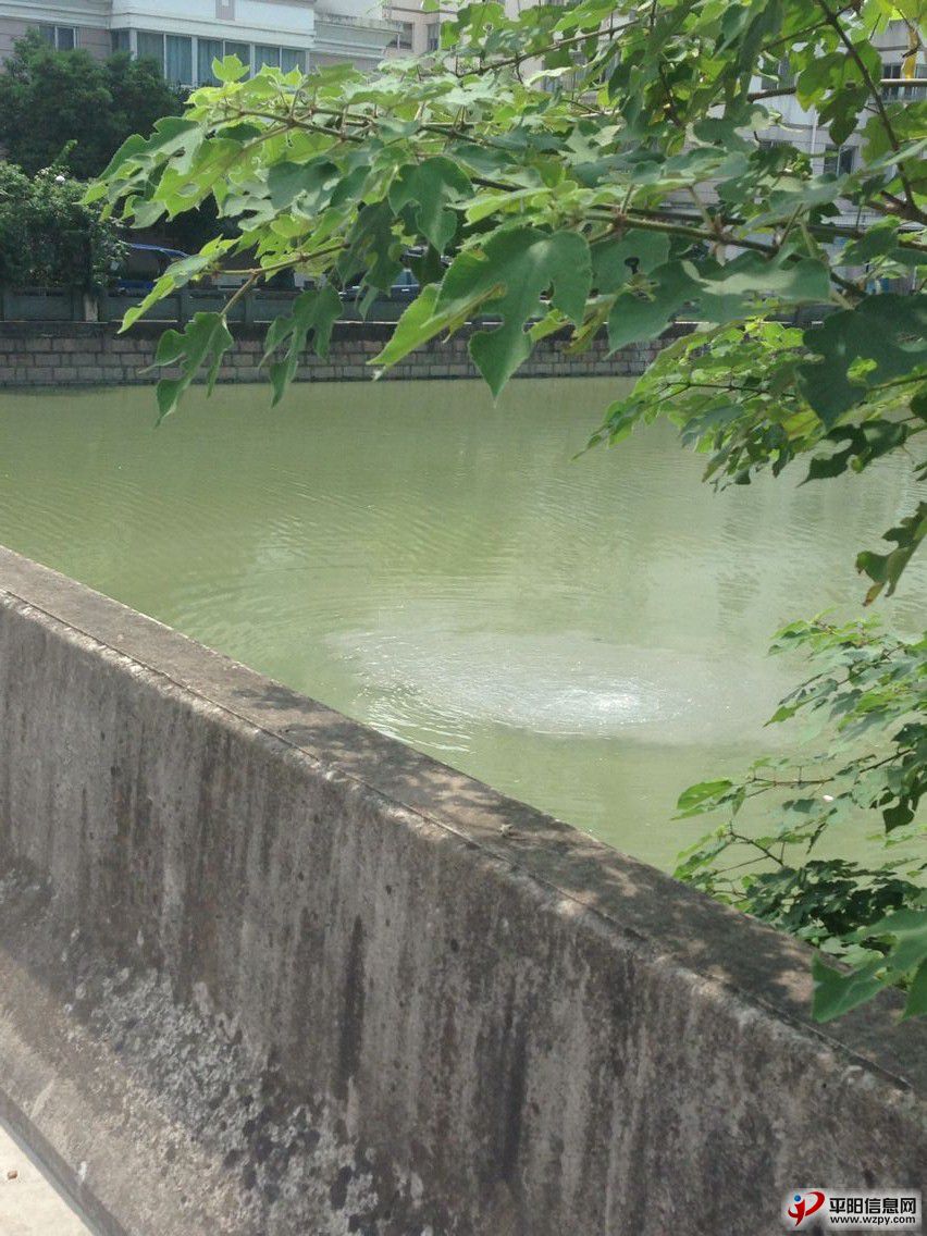 QQͼƬ20150831113237.jpg