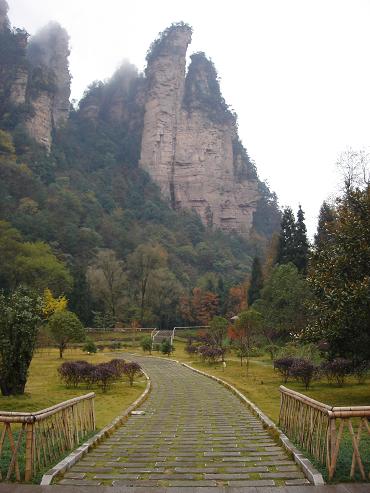 yIZpttCU.jpg