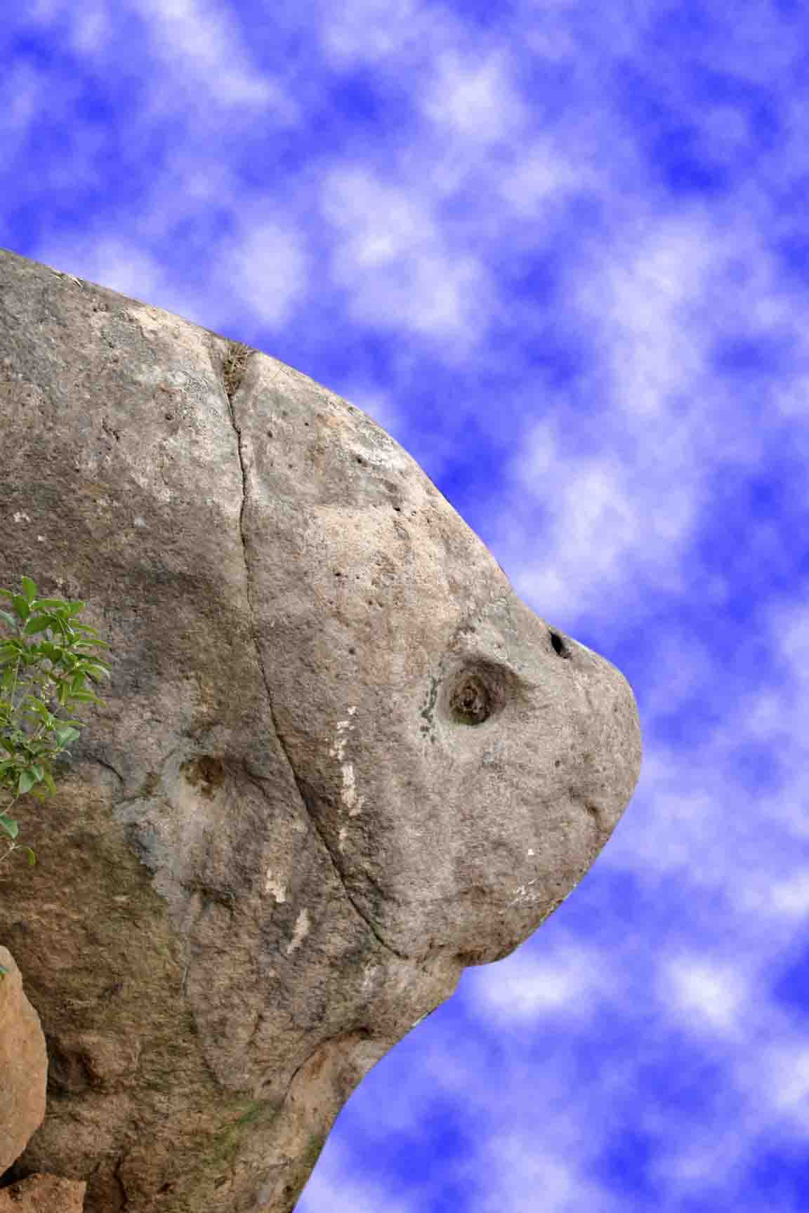ȥټ