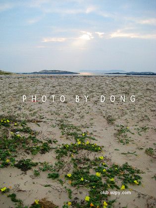 10.2쵺ҰӪ