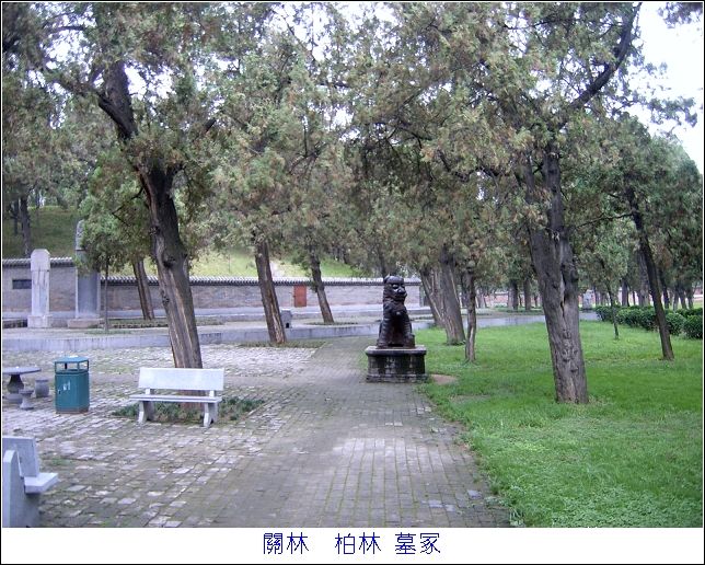 fY02QbNH.jpg