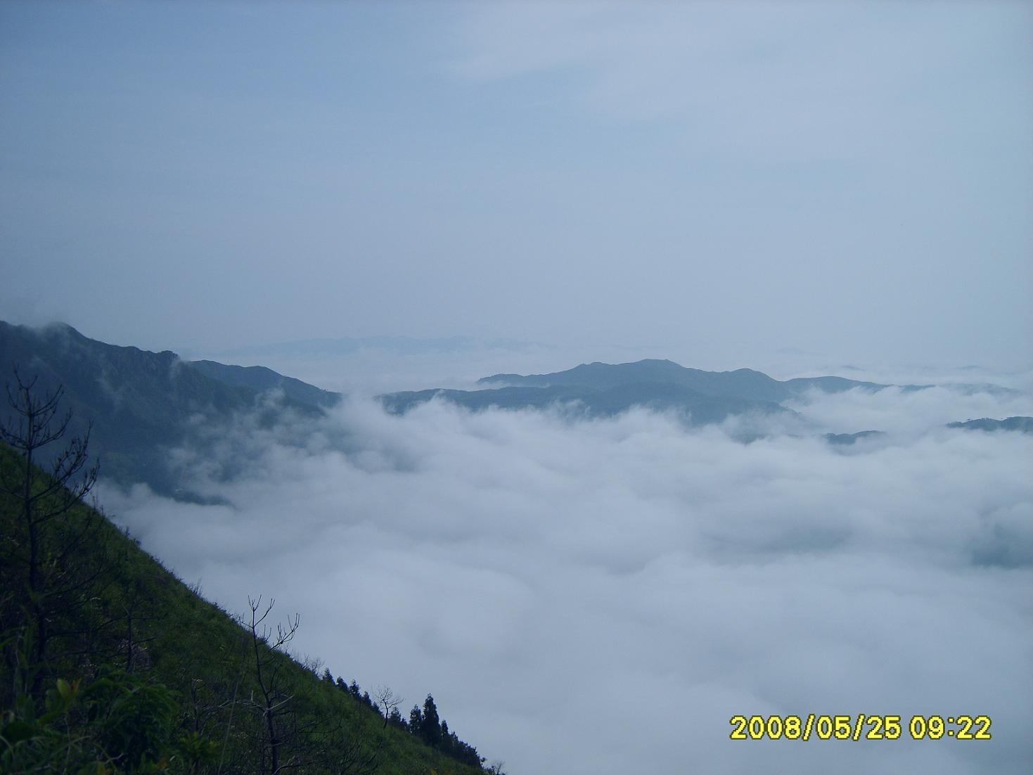524ҰӪƬ̽