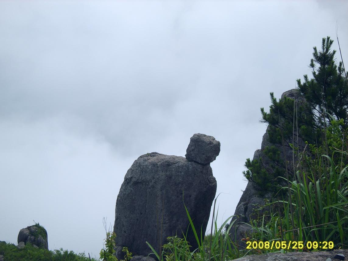 524ҰӪƬ̽