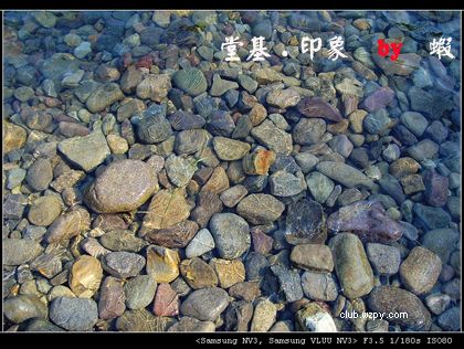 08.07.05û-֣Ϻ