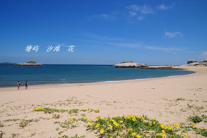 [ټƻ]8.16--8.17쵺¶Ӫ