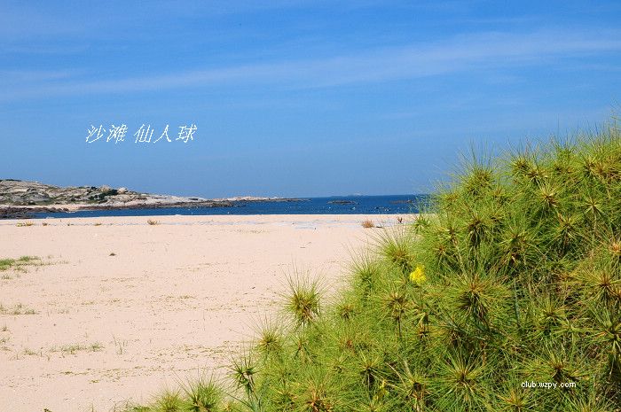 [ټƻ]8.16--8.17쵺¶Ӫ