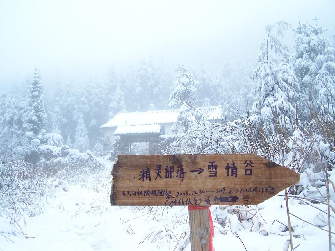 2009һλ --鲿