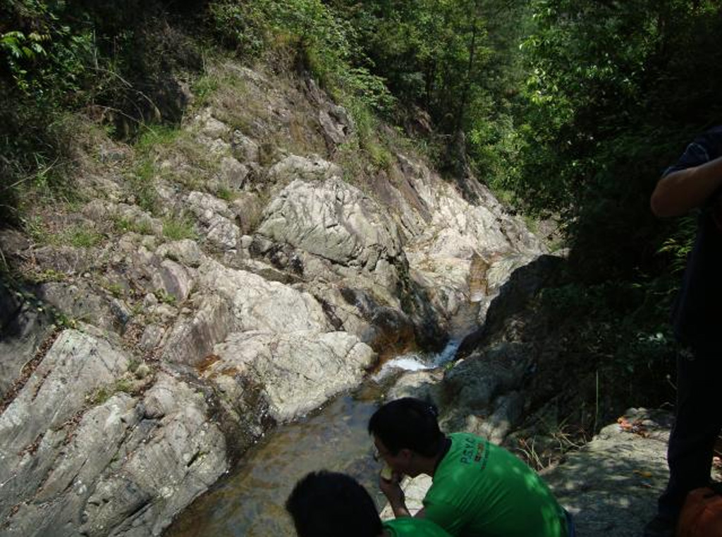 ټԽ÷Դ---鲼2009517