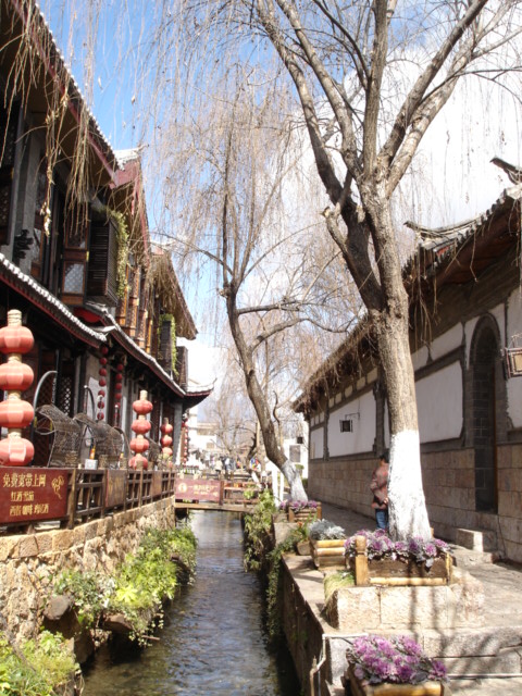 2008ĩ ̽·֮