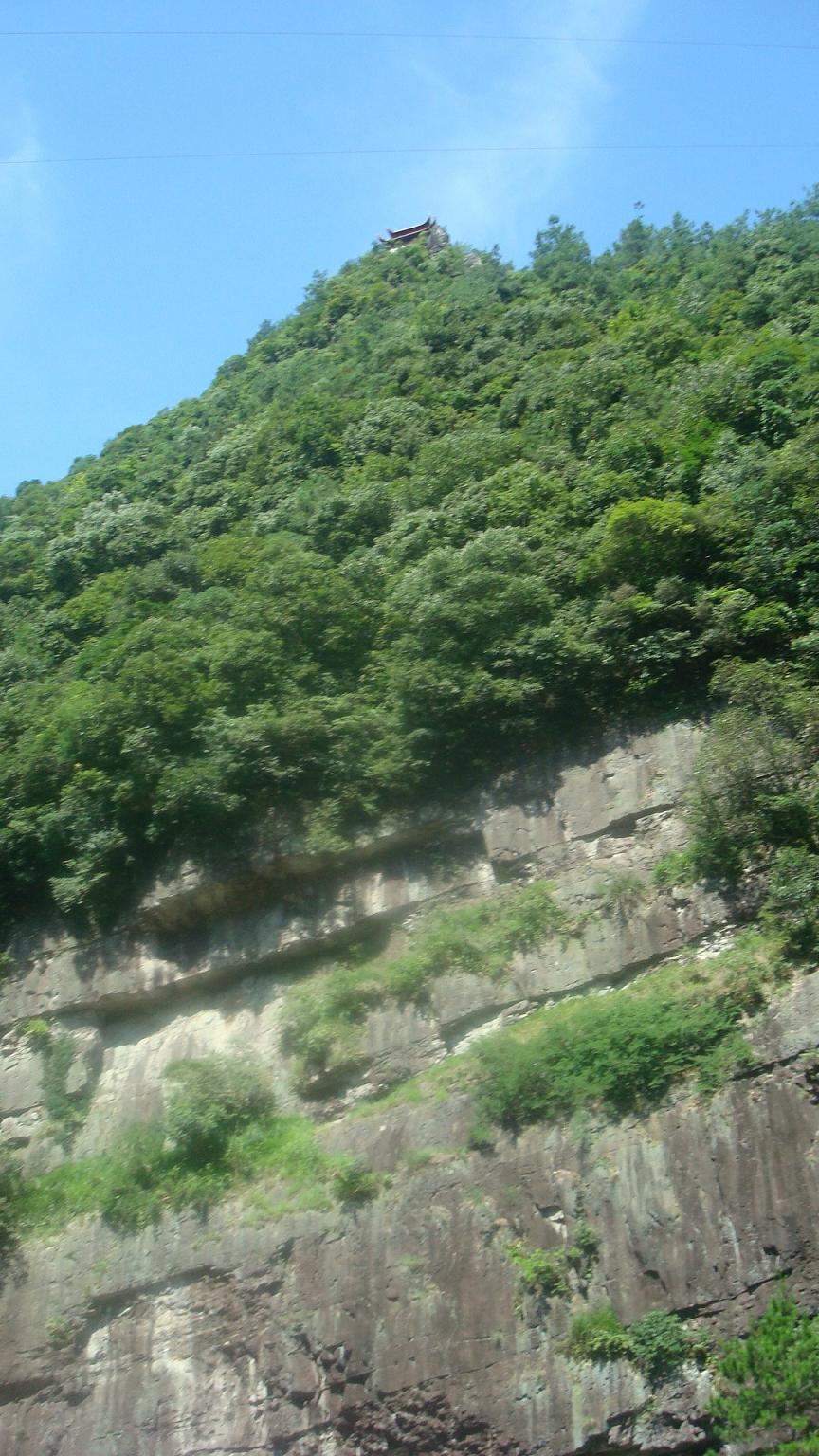 2WVjiQiE.jpg