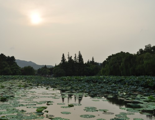 ʵΣݣ