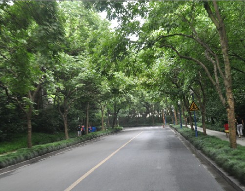 ʵΣݣ