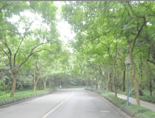 ʵΣݣ