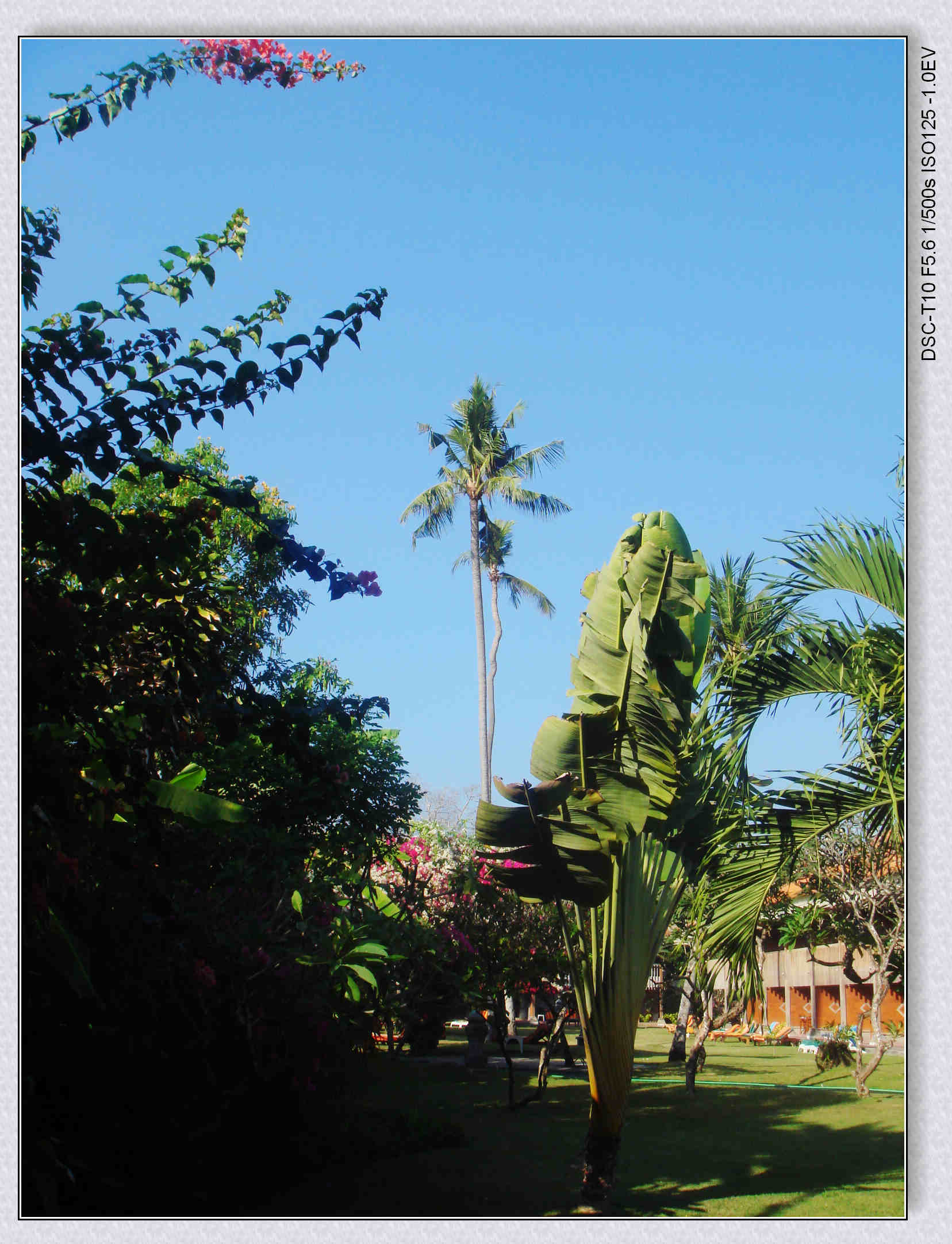 Bali