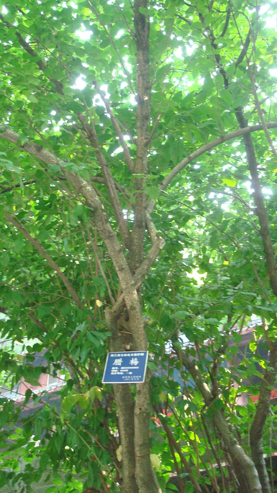 ֮Խߡʫ֮·