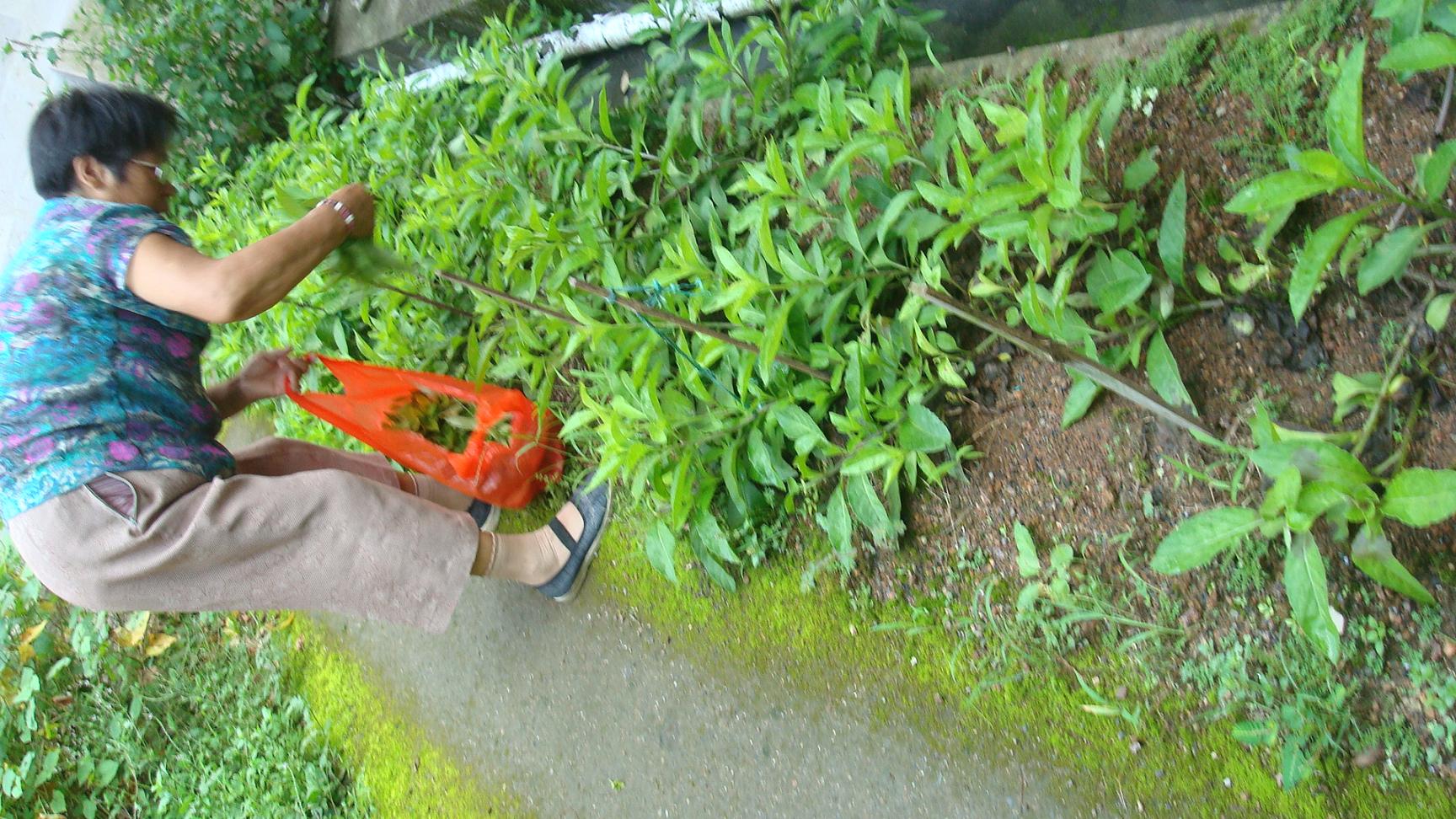 ֮Խߡʫ֮·