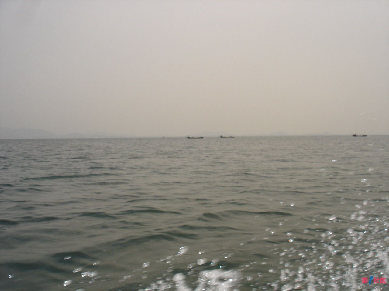 DSC04915.JPG