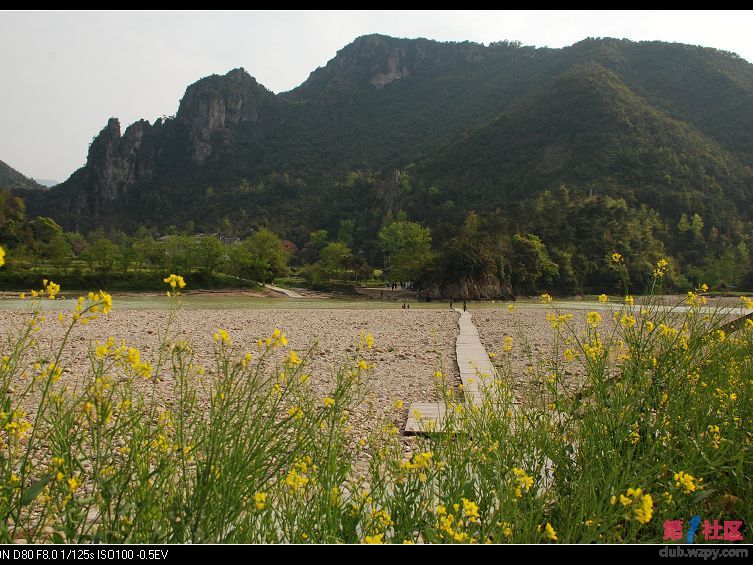20090408_6d3970bdd61f3d50cfcb9R5RMyhXbKCA.jpg