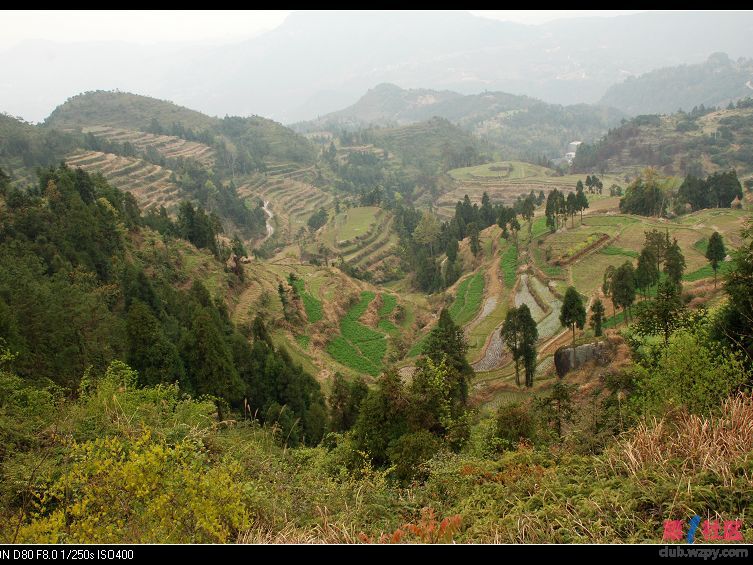 20090408_343f0b4e25d4d9a96d29PoODitBIx8Sy.jpg
