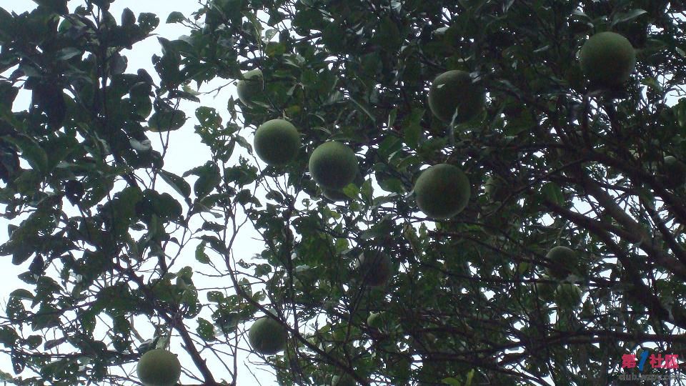 DSC05625.JPG