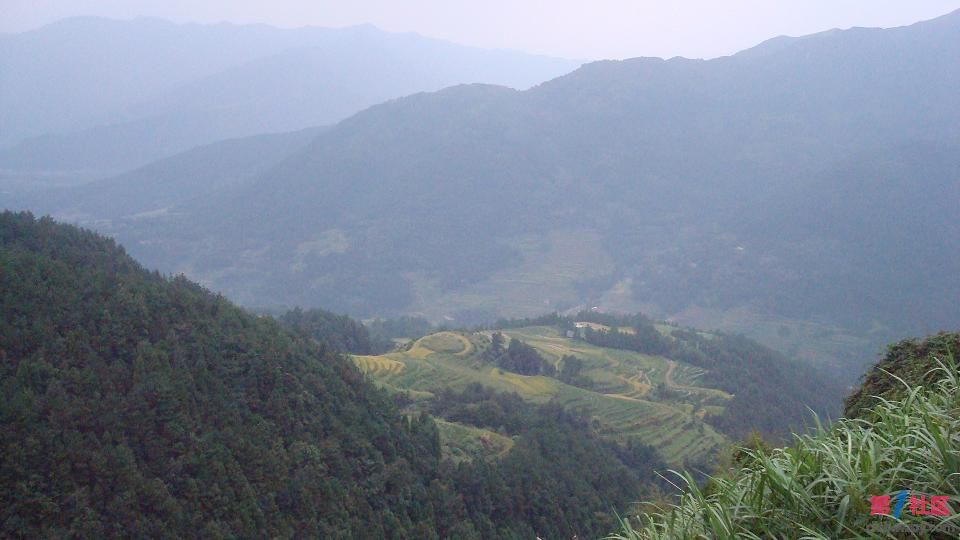 DSC05630.JPG