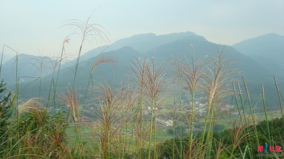 DSC05619.JPG