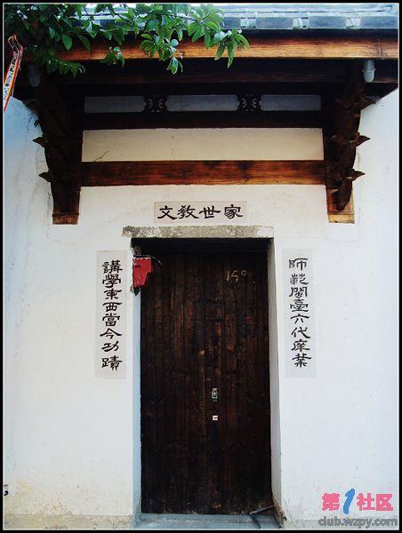 SNV37045.JPG
