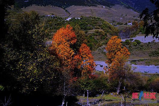 DSCF1760_nEO_IMG.jpg