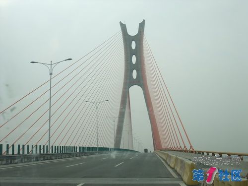 DSCF0175_С.JPG