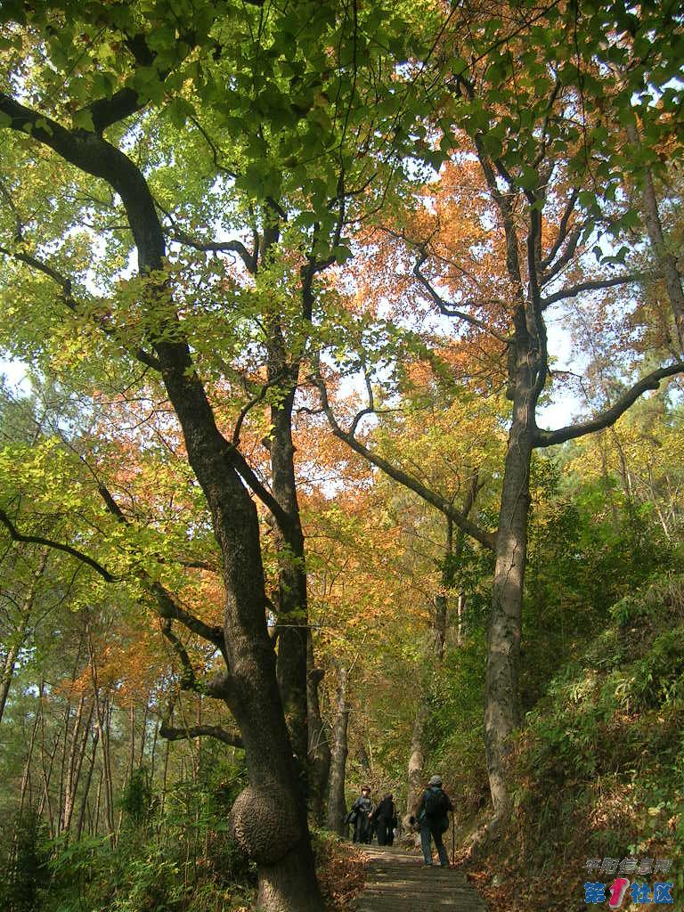 DSCN2820.JPG