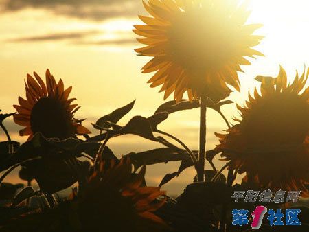 1207_30655.jpg