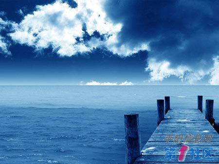 1020_29025.jpg
