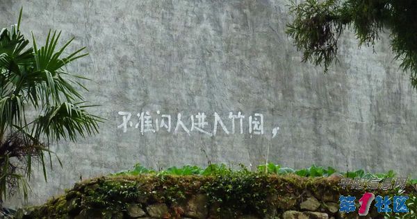 P1000825.JPG