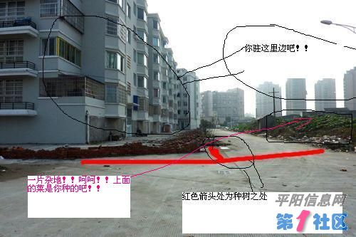 1001311009fbf114ee126186d8.jpg