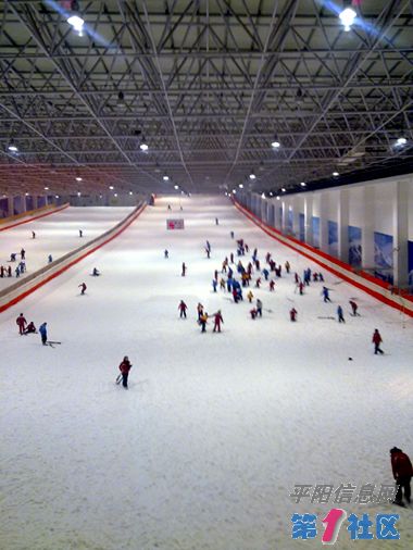 20100218026.jpg