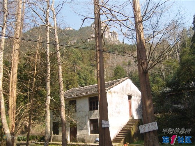 87.jpg