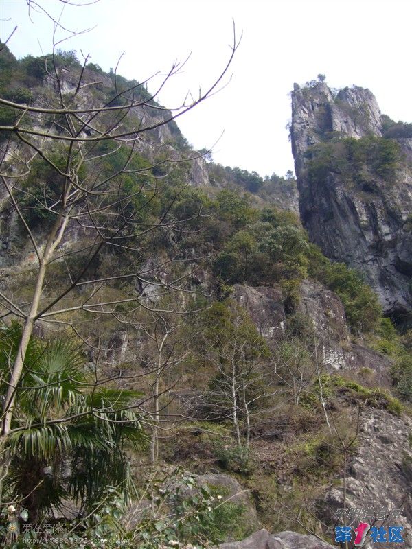 01.jpg