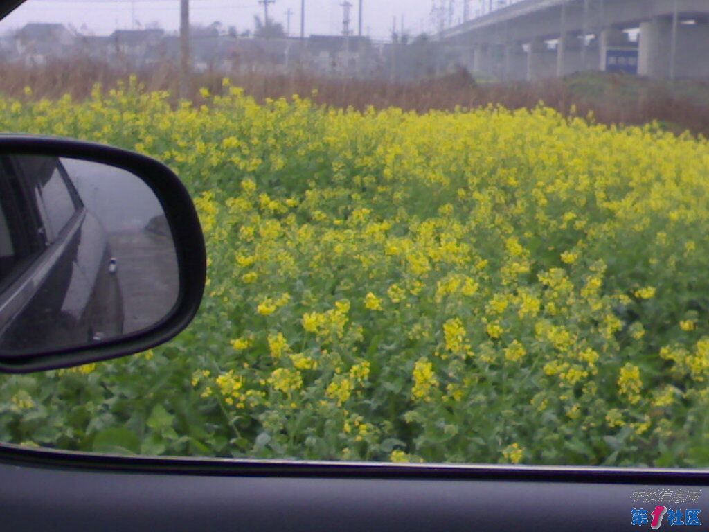 20100304059.jpg