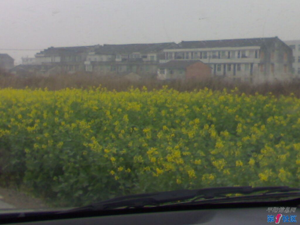 20100304060.jpg