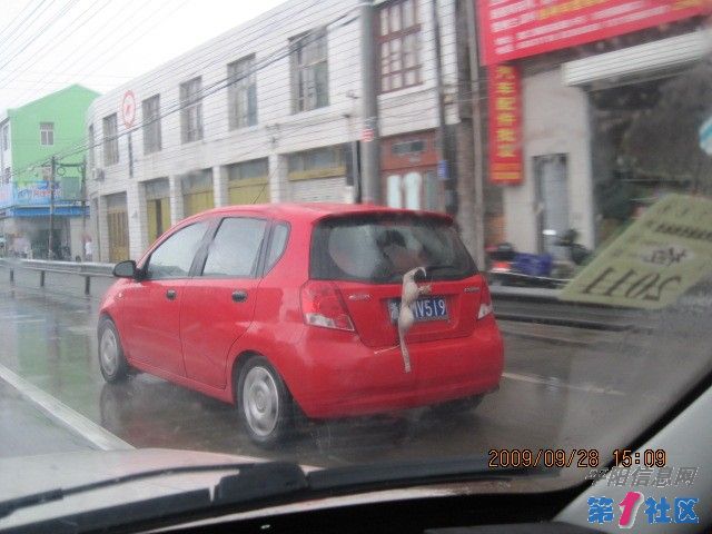 http_imgload[2].jpg