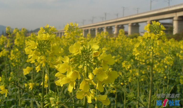 S1051381.jpg