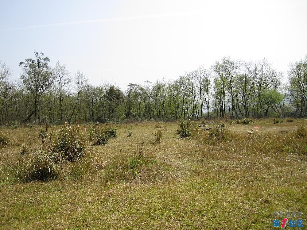 Ƭ 090.jpg